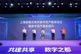 上海发布全国首份数字资产，定义数字资产“四不五可六类”图片