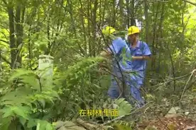 烈日下的燃气巡线员：日巡20公里 守护万家烟火图片