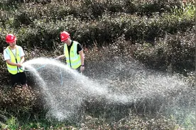 洒水车变灌溉车 茶园基地获“甘霖”图片