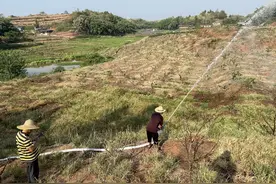 四川自贡沿滩1.5万只兔宝宝吹水帘风机降温 村民熬通宵灌溉花椒基地丨一线抗旱图片