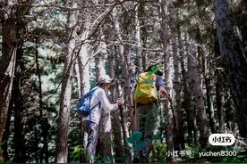 “去走一条属于自己的路”图片