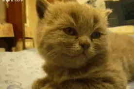 快开学了，孩子感到紧张、焦虑怎么办？图片