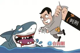 收购6389颗大白鲨牙齿 价值达300多万元！男子被判6年7个月并处罚金15万图片