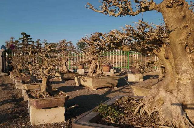 「出游好时节·遇见荆门」给你的心灵放个假，来荆门这些地方，寻觅田园诗意慢生活