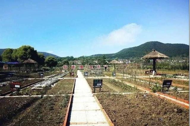 「出游好时节·遇见荆门」给你的心灵放个假，来荆门这些地方，寻觅田园诗意慢生活