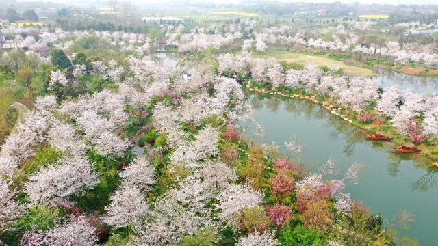 「出游好时节·遇见荆门」给你的心灵放个假，来荆门这些地方，寻觅田园诗意慢生活