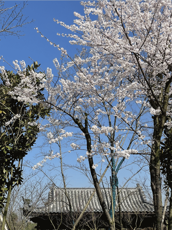 「出游好时节·遇见荆门」给你的心灵放个假，来荆门这些地方，寻觅田园诗意慢生活