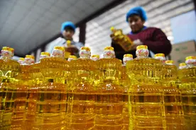 邹平：科技创新点亮14个冠军产品图片