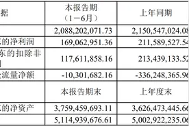 疫情等致上半年净利同比降两成 天下秀董事长李檬：未来将更重视现金流储备和利润稳定图片