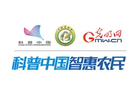 神秘果不再“神秘”！科学家从中发掘抗癌物质图片