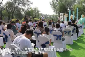 “乡约四季 乐游六户”东营区六户葡萄采摘休闲汇将于8月28日精彩开幕图片