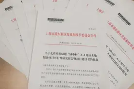 涉及5个村近3000亩规模！北蔡“城中村”改造项目取得认定和立项批复将开始全面推进图片