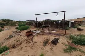 陕西城郊现狗肉屠宰场，爱心人士1小时筹款万元救下14只狗，回应：养狗请负责，不要弃养图片