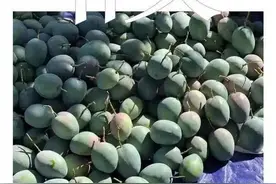 芒果大量滞销？“卖惨营销”究竟伤害了谁图片