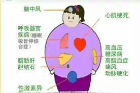 高脂肪饮食对身体的危害有多大，这些你应该知道图片