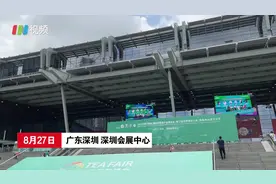 以茶会友，第26届深圳春季茶博会开幕首日观众反响热烈图片