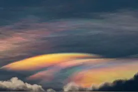 百家｜李兰妮：化身照亮旷野的一束灵光图片