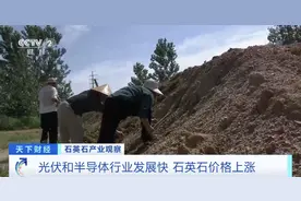 又见疯狂的“石头”！昔日地里随处可见，如今成“金疙瘩”！光伏能源、航空航天都离不开“它”图片