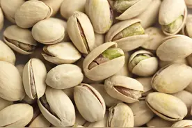 开心果丰收，西班牙农民开心图片