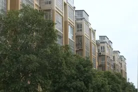 清理飞线10万余米！枣庄峄城全力推进全国文明城市创建工作图片