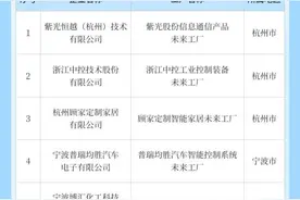 浙江再添9家未来工厂，是它们图片
