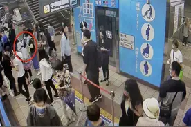 台北捷运首例松鼠伤人案 宠物松鼠钻出笼猛啃女乘客图片