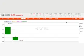 上市首日大跌23.9%！丛麟科技成8月最惨新股，上半年归属净利润下降14%图片