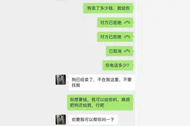 极目快评｜男子领养狗狗后反勒索原主人，送养人的爱心不应成为牟利工具图片