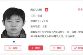 通缉犯抓捕赏金4元？对话“人民赏金”创始人：不盈利，自己烧钱图片