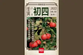农历中国 | 八月初四 · 山楂果熟图片