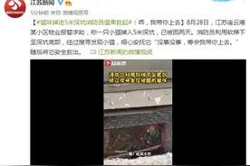 猫咪掉进5米深坑消防员温柔救起：乖，我带你上去图片