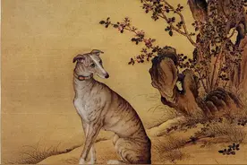 乾隆皇帝的这些爱犬，有你喜欢的吗？图片