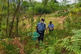 民警救了一只像猪又像狗的不知名动物！闰土说：他认识图片