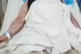 被咬一口，男子全身麻痹、倒地休克……看到它们，退！退！退图片