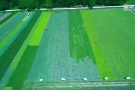 新华全媒+｜陕西太白：高山蔬菜持续带动农民增收图片