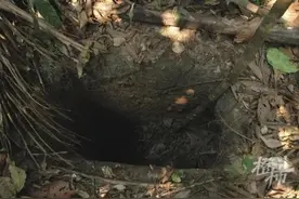 世界上最孤独的人去世 他与世隔绝生活26年图片