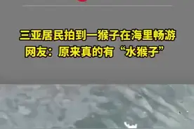 居民拍到一猴子在海里游泳，网友：原来真的有“水猴子”图片