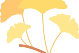 惊艳上新！川大“花色”主题PPT模板来了图片