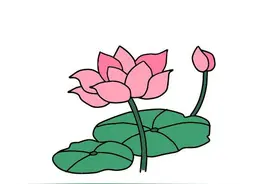 当代散文｜荷花图片