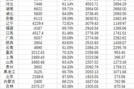 31省份城镇人口数据：广东最多 河南等潜力大图片
