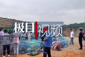 大货车长途贩运千只来历不明的动物，志愿者报警拦下，多方介入调查图片