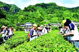 “耕”以强体，“读”以润心图片