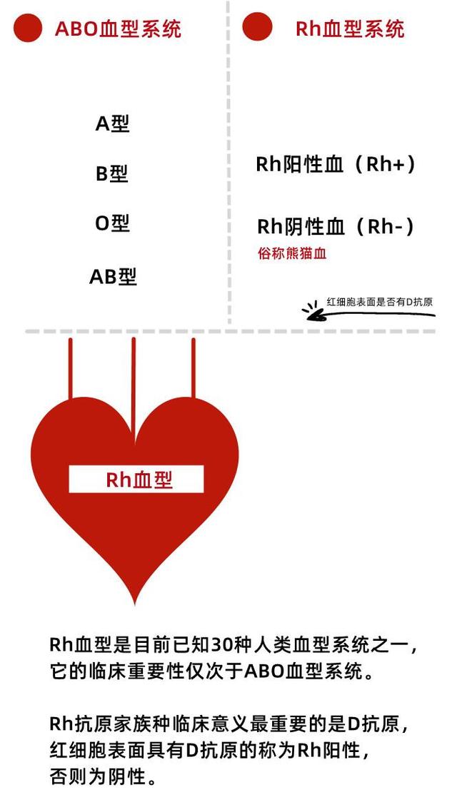 这种血型全球不足50例?江苏新发现2例