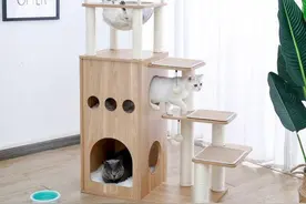 单价150美金，国产猫爬架在欧洲卖火了！国货出海还有这些趋势图片