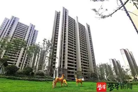 直击碧桂园凤凰城交付现场！听听新业主们的心声……图片