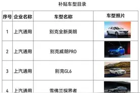 今天起，在湖北买“江夏造”汽车最高补贴1万元图片