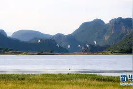 云南曲靖：初秋海峰景如画图片