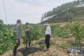 村美业兴！驻村工作队给陆丰博美点石村带来了新变化图片