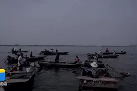 开湖啦！东平湖开湖捕鱼 鱼类丰富收获颇丰图片