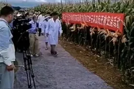 极目锐评｜踩“土工布”观摩玉米地被质疑“不接地气”，非要看助农专家脏兮兮的泥腿子才痛快？图片